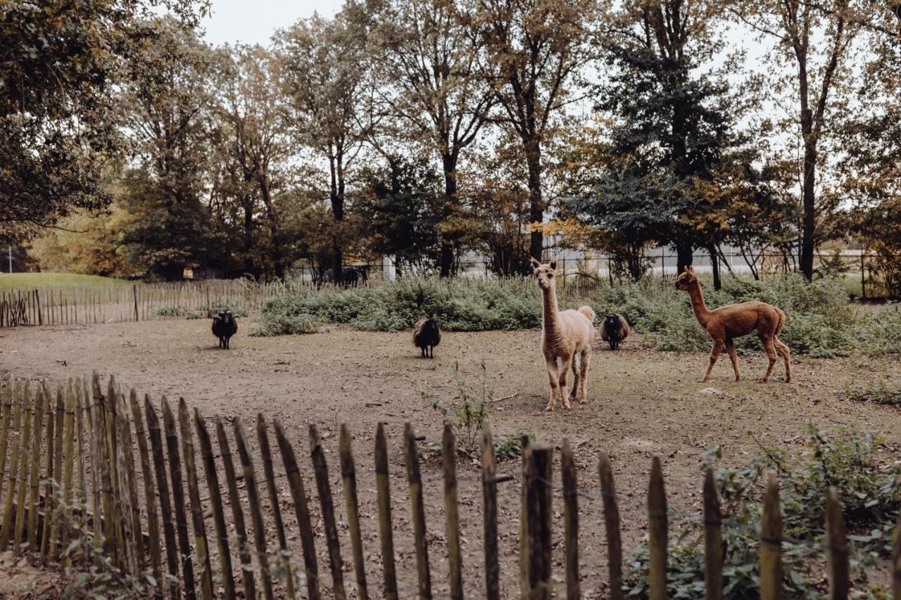 Het Hilkensberg Park Vila Broekhuizen  Exterior foto