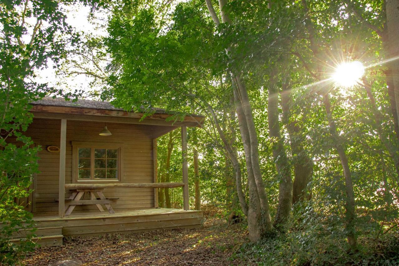 Het Hilkensberg Park Vila Broekhuizen  Exterior foto