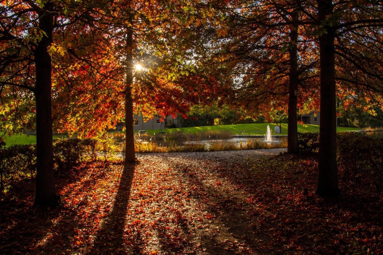 Het Hilkensberg Park Vila Broekhuizen  Exterior foto