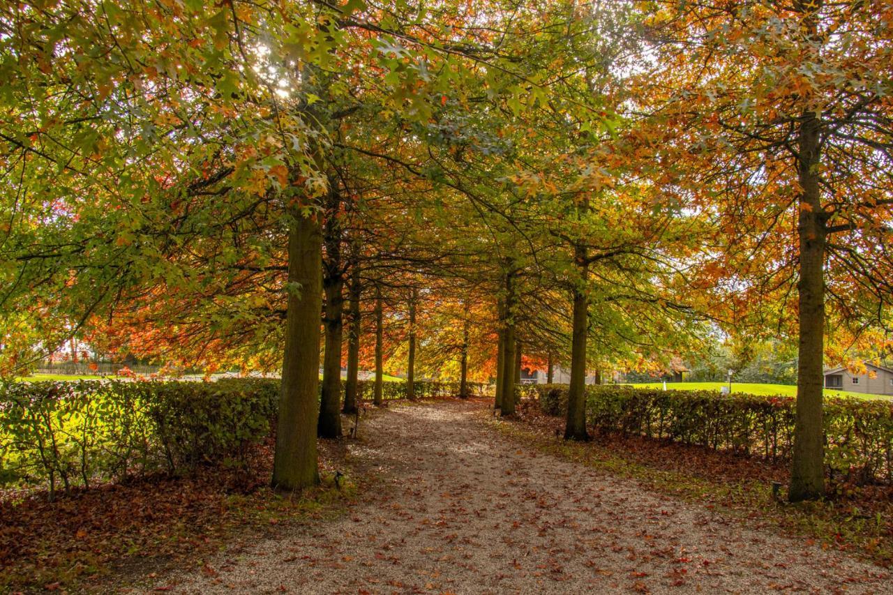 Het Hilkensberg Park Vila Broekhuizen  Exterior foto